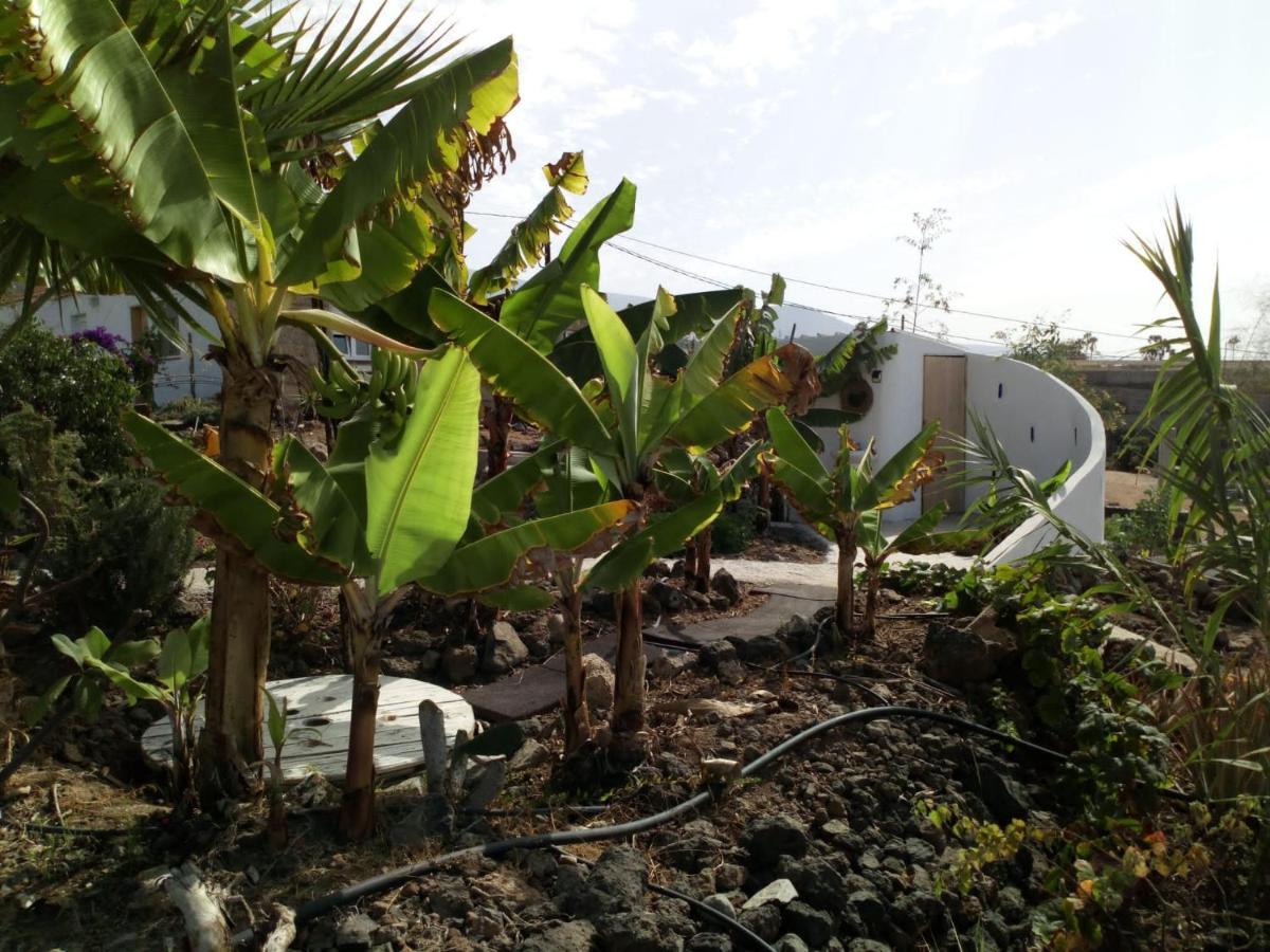 Eco Camping Nueva Vida Guest House Chio  Bagian luar foto