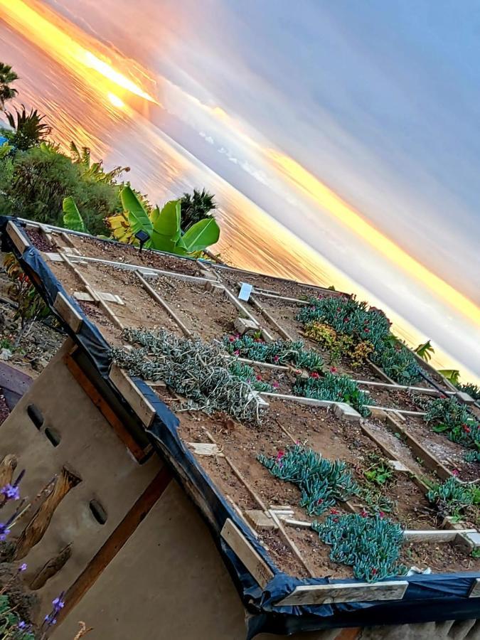 Eco Camping Nueva Vida Guest House Chio  Bagian luar foto