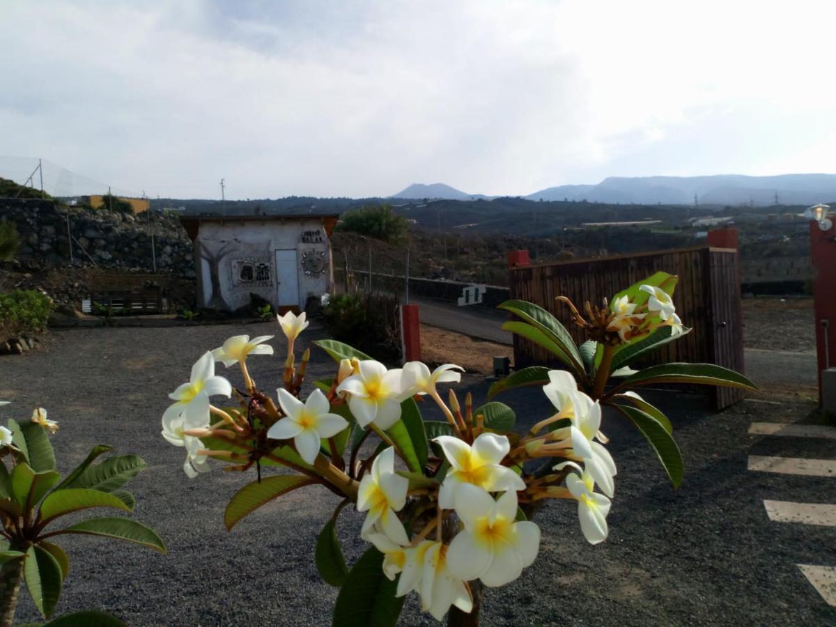 Eco Camping Nueva Vida Guest House Chio  Bagian luar foto