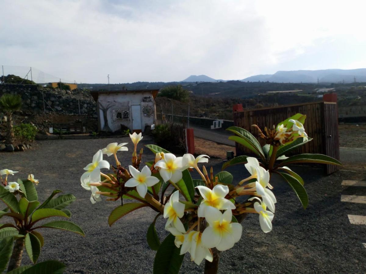 Eco Camping Nueva Vida Guest House Chio  Bagian luar foto