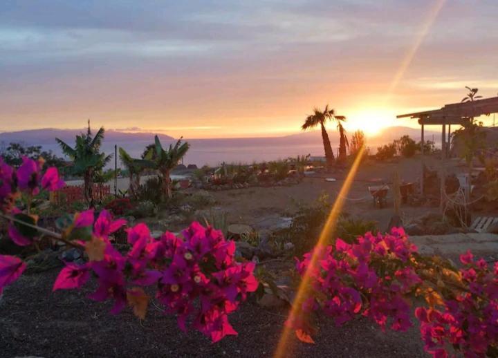 Eco Camping Nueva Vida Guest House Chio  Bagian luar foto